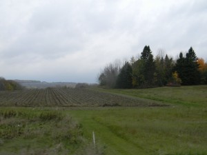 DSCN3418