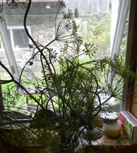 DSCN5789
