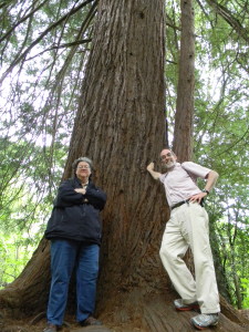 John and Mary with Sequoia sempervivens along the Redwood Creek Trail