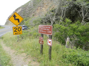 Along CA 1, near Steep Ravine Trail