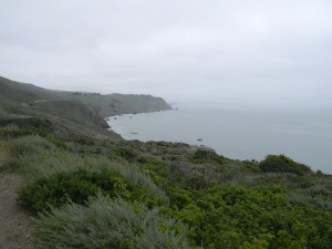 View from California Route 1